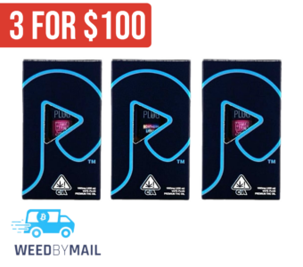 PlugPlay – 1G Premium THC Vape Pod (8 Options)