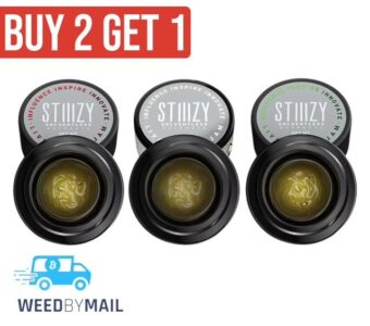 STIIIZY – 1g Live Rosin Jam (6 Options)