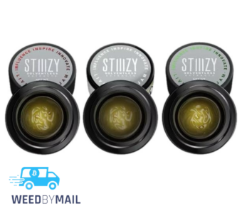 STIIIZY – 1g Live Rosin Jam (2 Options)