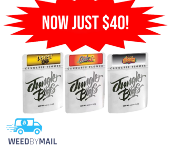 Jungle Boys – Premium Flower 3.5G (10 Options)