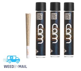 Cam Pre-Roll (1G) (2 Options)