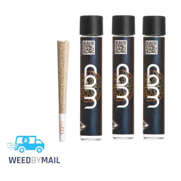 Cam Pre-Roll (1G) (2 Options)