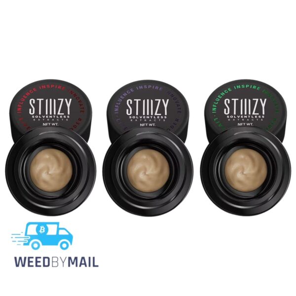 STIIIZY - 1g Live Rosin Badder (6 Options)