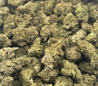 $450 LB Special “Vanilla Cake”