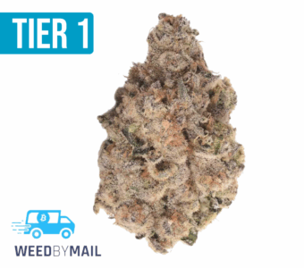 Tier 1 Strawberry Cough (36.92%THC)(Sativa)