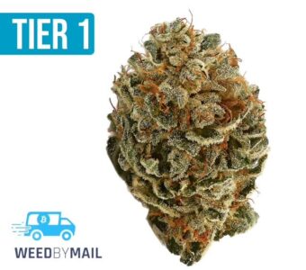 Tier 1 Strawberry Cough (36.98%THC)(Sativa)