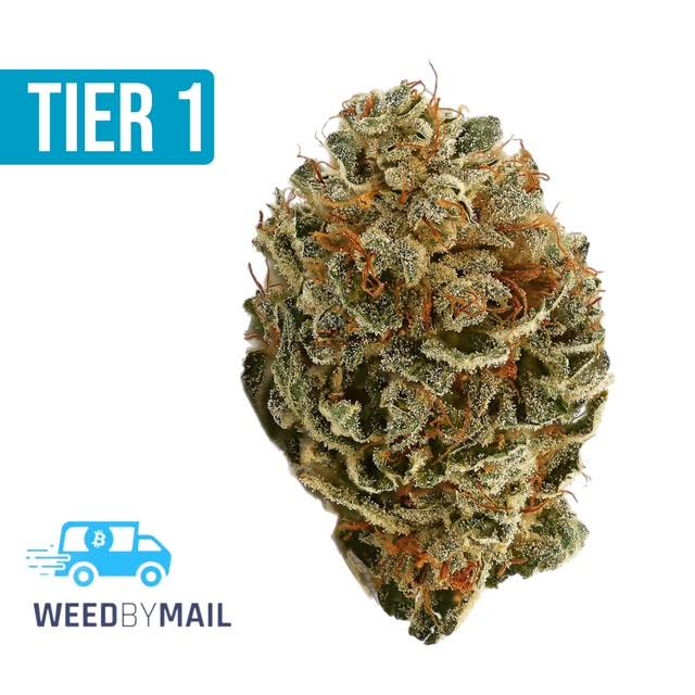 Tier 1 Strawberry Cough (36.98%THC)(Sativa)