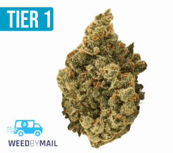 Tier 1 Passion Fruit (36.84%THC)(Sativa)