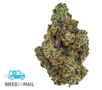 Tier 1 Strawberry Cough (36.92%THC)(Sativa)