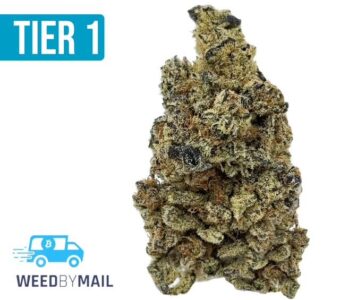 Tier 1 Strawberry Cough (36.92%THC)(Sativa)