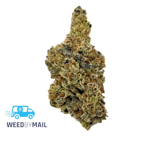 Tier 1 Bay 11 (36.88%THC)(Sativa)