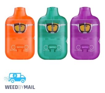 Boutiq Switch – 2g Disposable (10 Options)