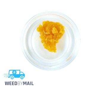 House Sugar 1G (3 Options)