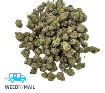 Tier 2 (Small Buds) Kashmir Kush (31.92% THC)(Hybrid)