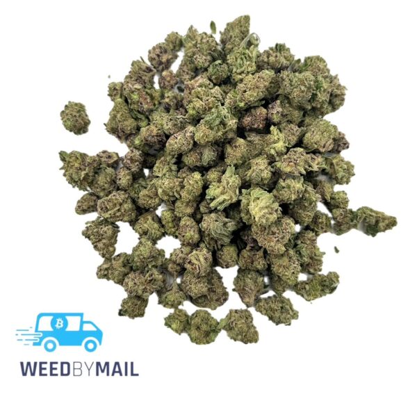 Tier 2 (Small Buds) Kashmir Kush (31.92% THC)(Hybrid)