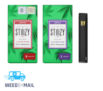 STIIIZY – 1G Distillate Disposable Pen (9 Options)