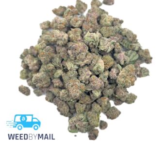 Tier 2 (Small Buds) Sugar Plum (31.98% THC)(Sativa)