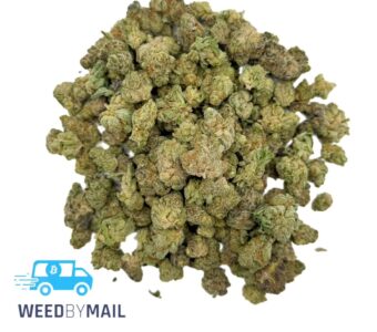 Tier 2 (Small Buds) White Poison (31.78% THC)(Sativa)
