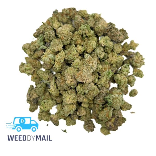 Tier 2 (Small Buds) White Poison (31.78% THC)(Sativa)