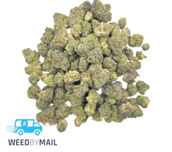 Tier 2 (Small Buds) Kobe OG (31.85% THC)(Hybrid)