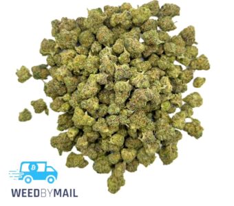 Tier 2 (Small Buds) Blue Raspberry (31.79% THC)(Hybrid)