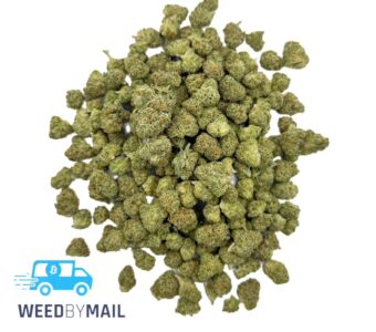 Tier 2 (Small Buds) Donkey Butter (31.93% THC)(Indica)