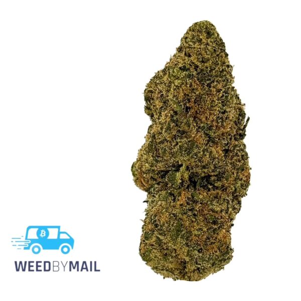 Tier 3 Green Dragon (28.67% THC) (Indica)