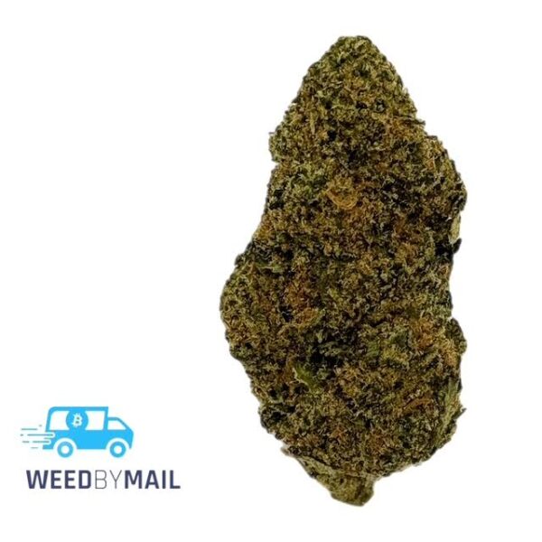 Tier 3 Devil Fruit (28.87% THC) (Indica)