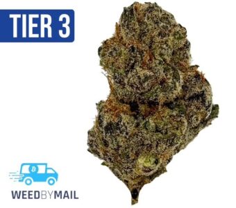 Tier 3 Dosidos (28.97% THC)(Hybrid)