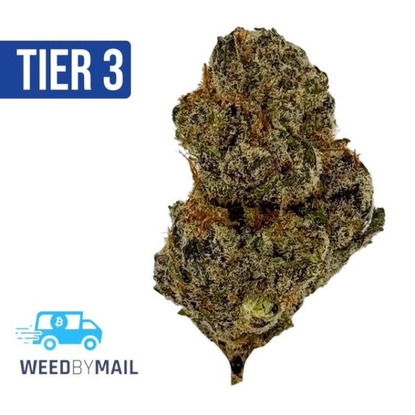 Tier 3 Dosidos (28.97% THC)(Hybrid)