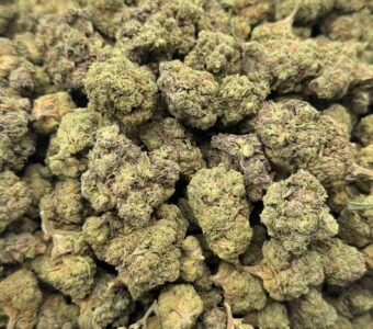 $450 LB Special “Gush Mints”