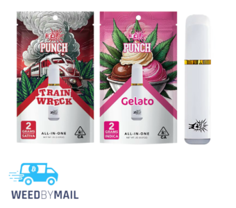 Punch – 2G Disposable Pen (8 Options)