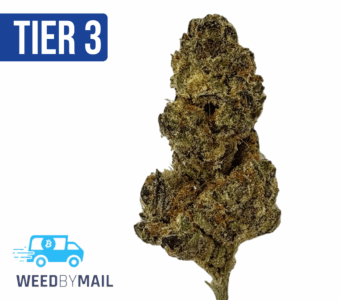 Tier 3 Larry Bubba (28.83% THC)(Hybrid)