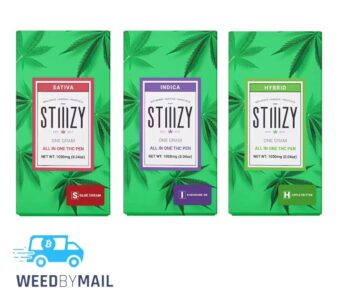 STIIIZY – 1G Disposable Pen (3 Options)
