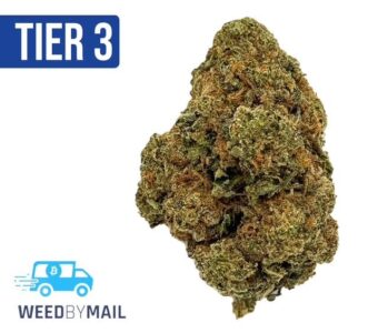 Tier 3 Conspiracy Kush (28.86% THC)(Indica)