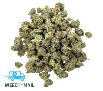 Tier 2 (Small Buds) Purple Octane (31.88% THC)(Indica)