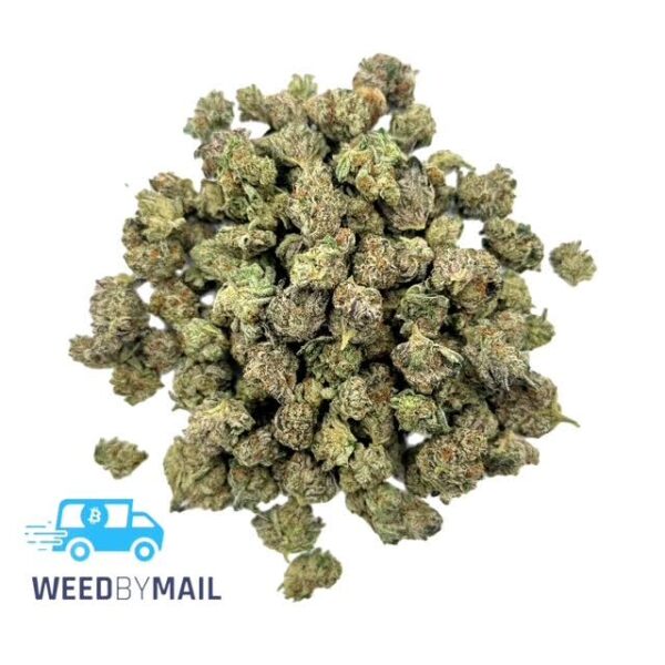Tier 2 (Small Buds) Purple Octane (31.88% THC)(Indica)