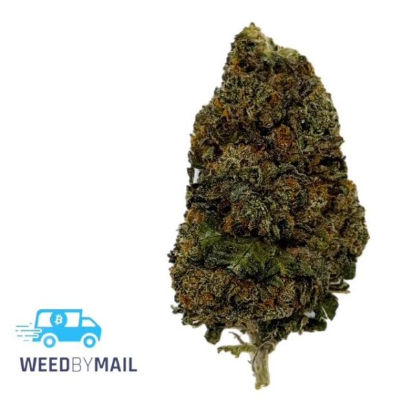 Tier 3 Ghost Ship (28.67% THC) (Indica)