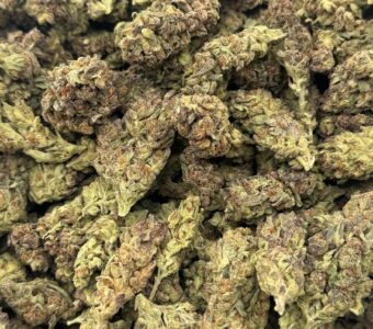 $550 LB Special “Girl Scout Cookies”