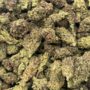 $550 LB Special "Girl Scout Cookies"