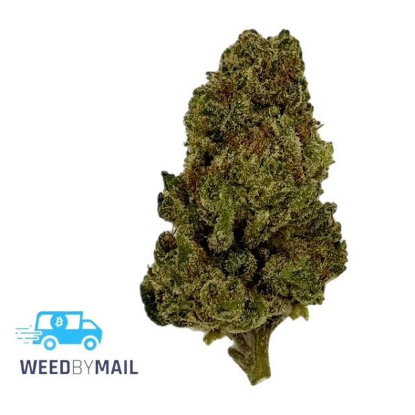 Tier 3 Buffalo Bill (28.82% THC)(Sativa)