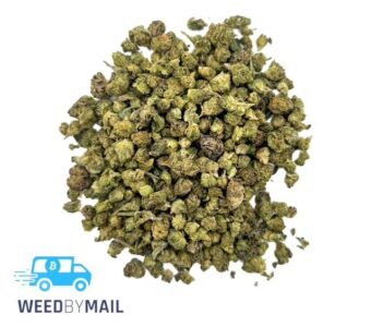 Tier 2 (Micro Nugs) Thin Mint (29.97% THC)(Hybrid)