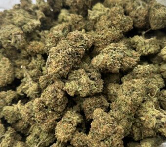 $500 LB Special “Tropical Runtz”
