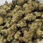 $500 LB Special "Tropical Runtz"