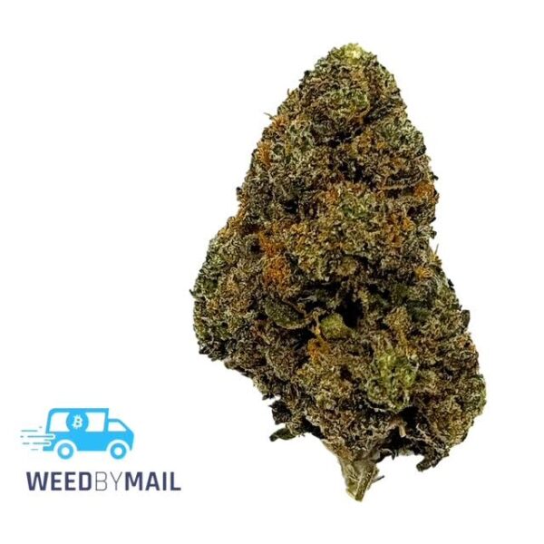 Tier 3 Power Kush (28.76% THC) (Indica)