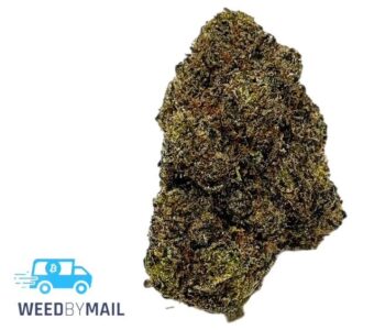 Tier 1 MAC 1 (36.85% THC)(Hybrid)