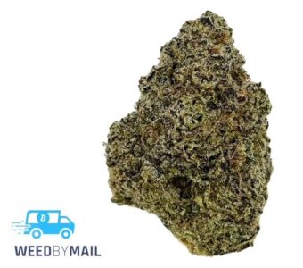Tier 1 Hog’s Breath (35.90% THC)(Indica)