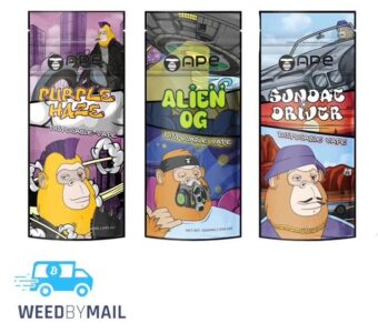 APE – 1g Disposable Pen (8 Options)