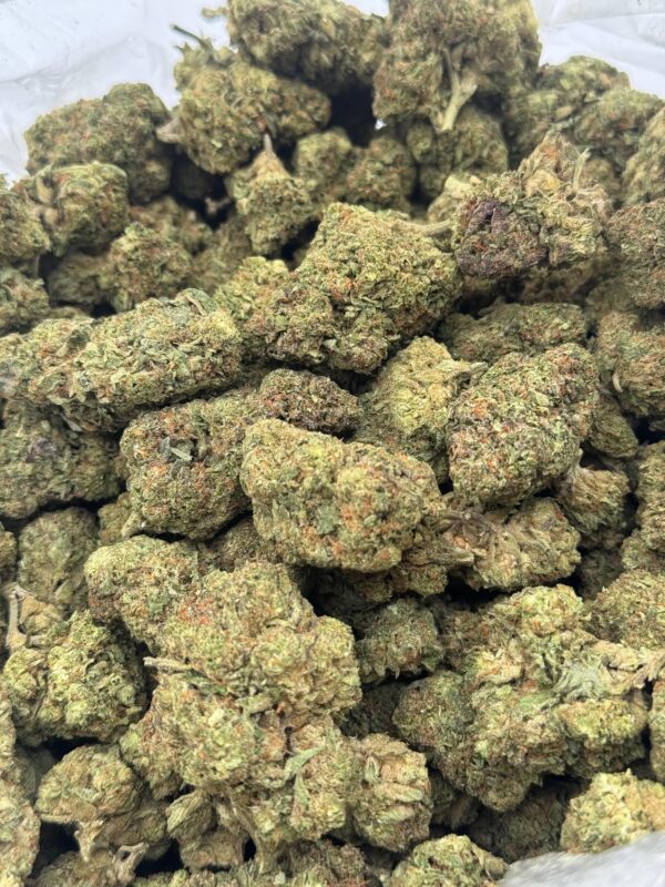 $550 LB Special "Papaya"