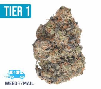 Tier 1 Formula 1 (35.84% THC)(Indica)